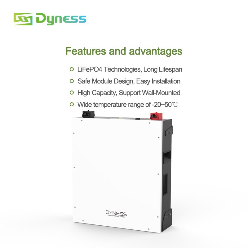 Eu warehouse Dyness A48100 Powerwall 5KWh 10KW lithium battery 48v 100ah lifepo4 batteries for home solar storage system