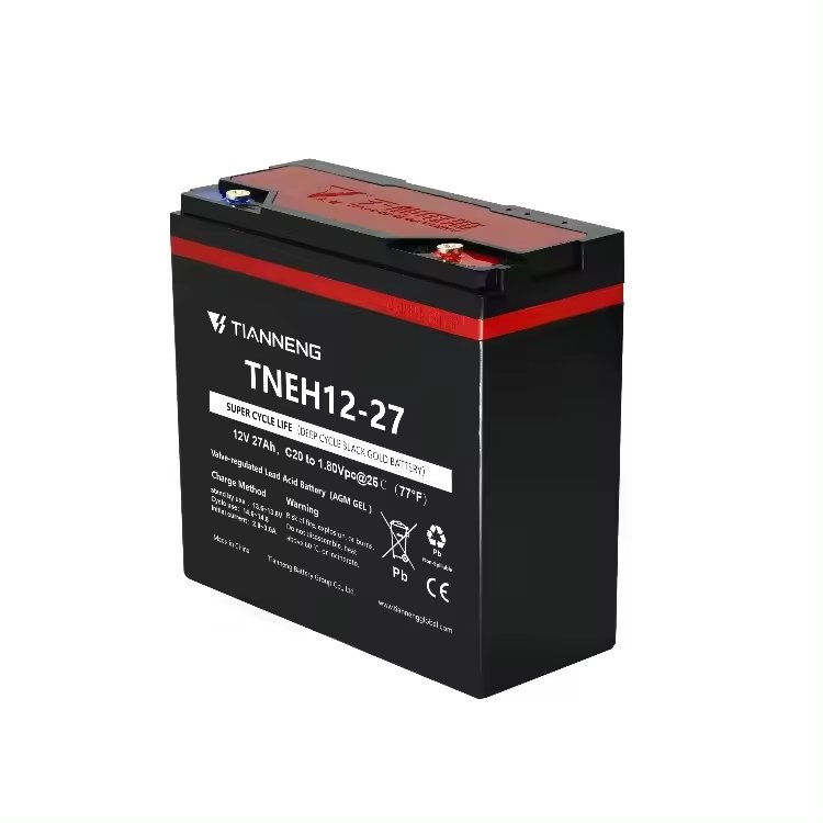 Chinese Wholesaler Tianneng 60V 20AH Lead Acid Battery Large Capacity for Electric Vehicle