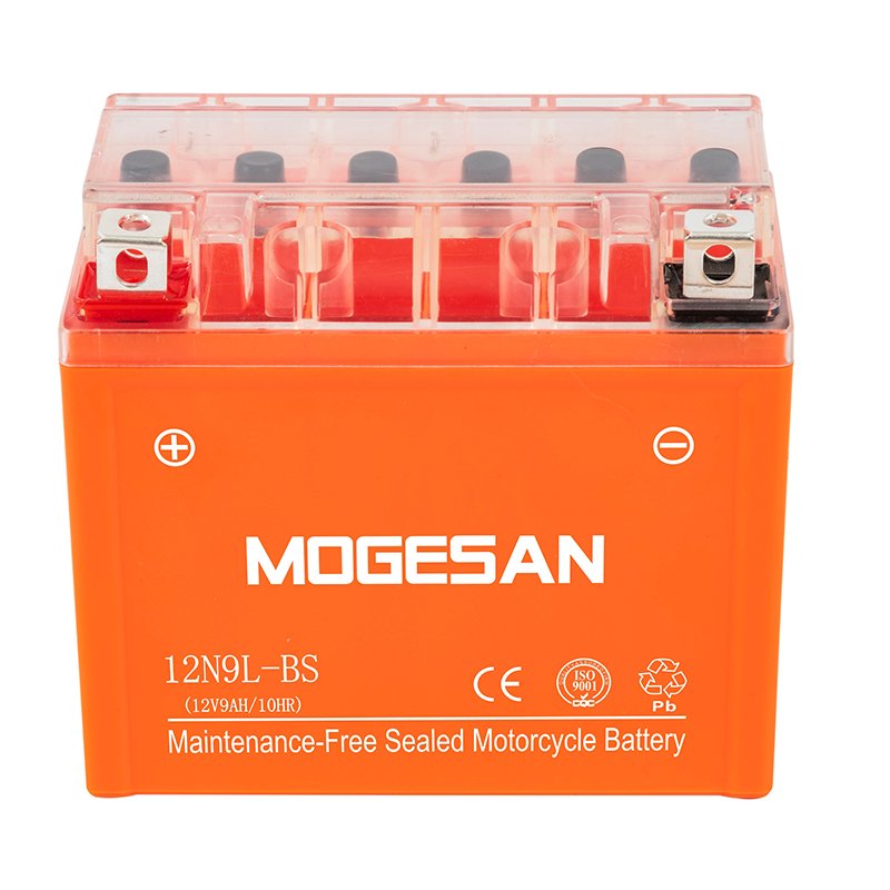 OEM Electric Motorcycles Lead-Acid Battery Adult Electric Motorcycle