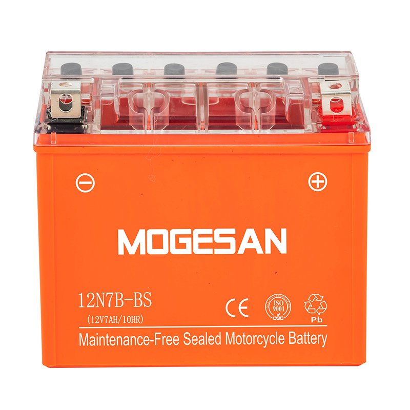 OEM Electric Motorcycles Lead-Acid Battery Adult Electric Motorcycle