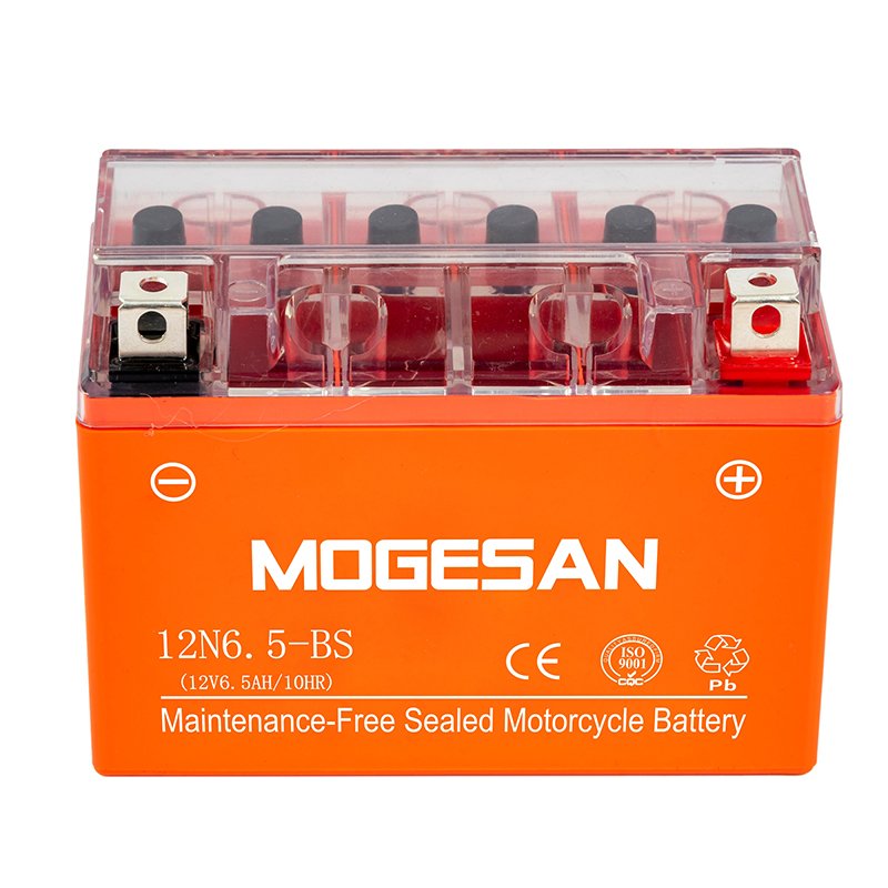 OEM Electric Motorcycles Lead-Acid Battery Adult Electric Motorcycle