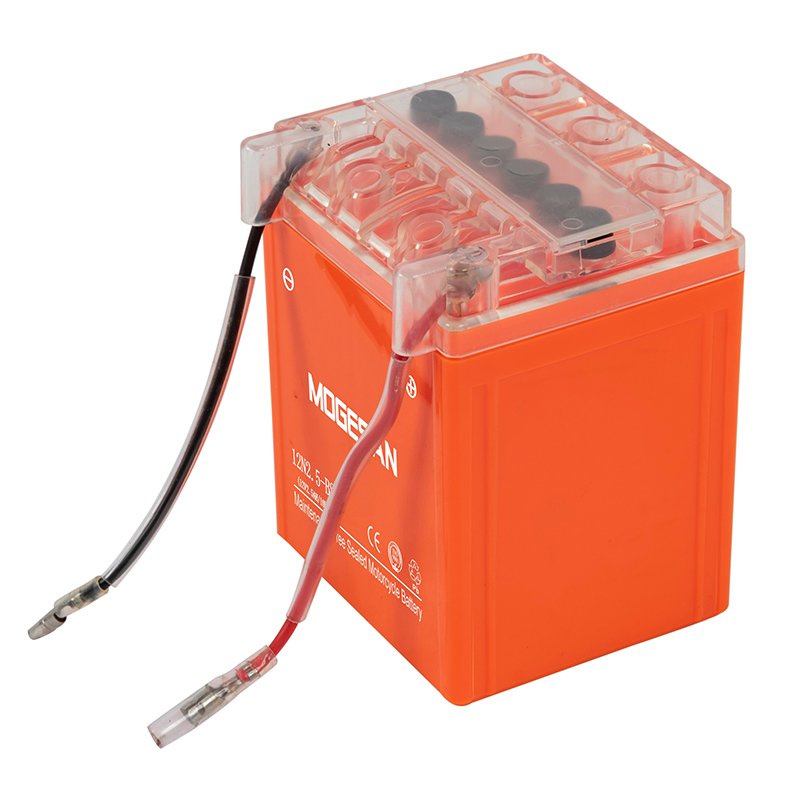 OEM Electric Motorcycles Lead-Acid Battery Adult Electric Motorcycle