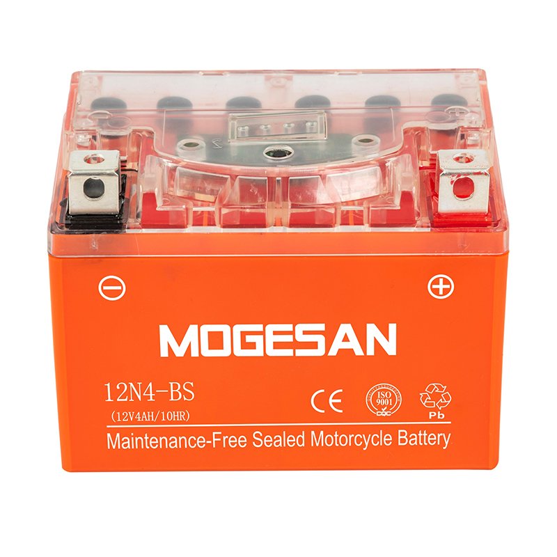 OEM Electric Motorcycles Lead-Acid Battery Adult Electric Motorcycle