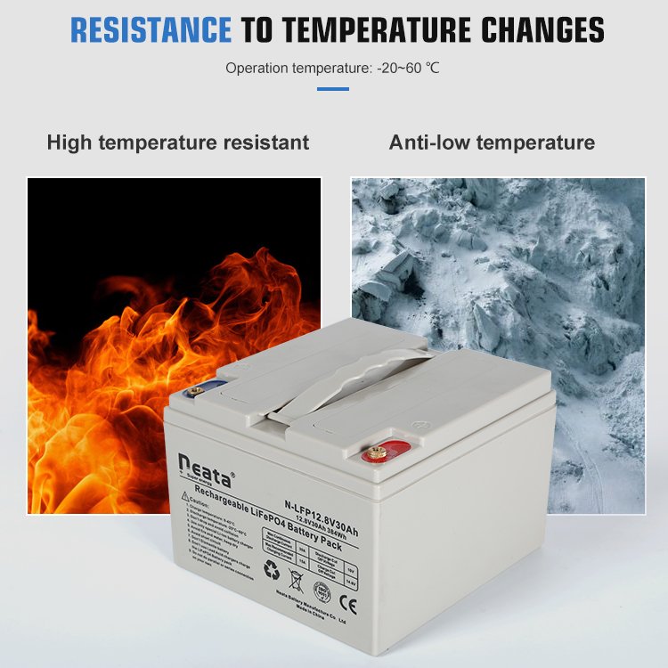 Neata Source Supplier Household Power Bank Portable LiFePO4 12.8V 30Ah Lithium Energy Storage Battery