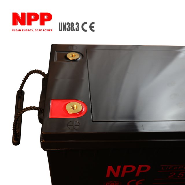 Lifepo4 Cell Solar Battery Green Clean Energy Durable Rechargeable 24V 12V 100ah NPP lead acid Battery