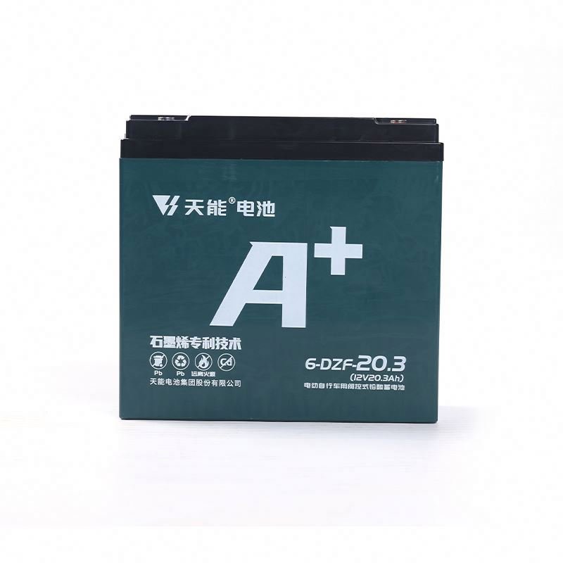 Lead Acid Battery 48v 20.3ah Motorcycles Electric Bicycle Battery