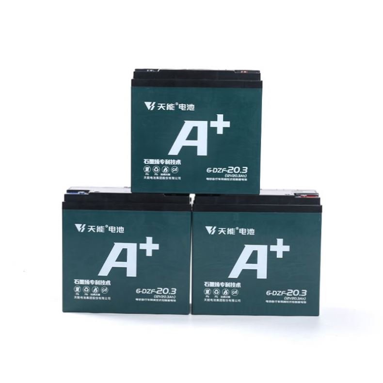 Lead Acid Battery 48v 20.3ah Motorcycles Electric Bicycle Battery