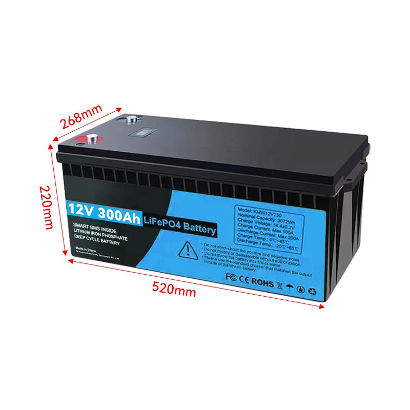 12V 24V 36V 48V 100Ah 200Ah 300Ah lifepo4 lithium battery pack for RV marine boat Deep cycle rechargeable energy storage battery