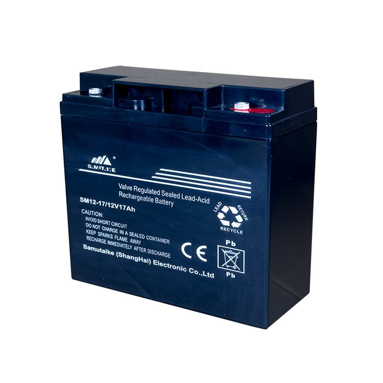 2024 High Quality 17Ah Lead Acid Batteries Free Maintenance Sealed Type Telecommunications low price