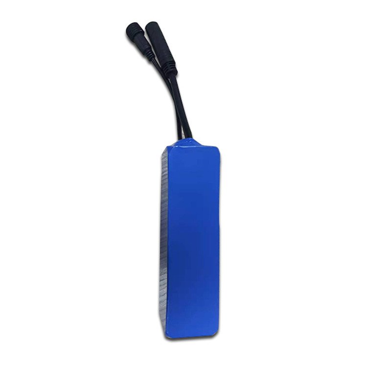 LiTech Power custom 13s1p 48v 3.5Ah rechargeable 35E cell 18650 lithium ion battery with BMS for LED light
