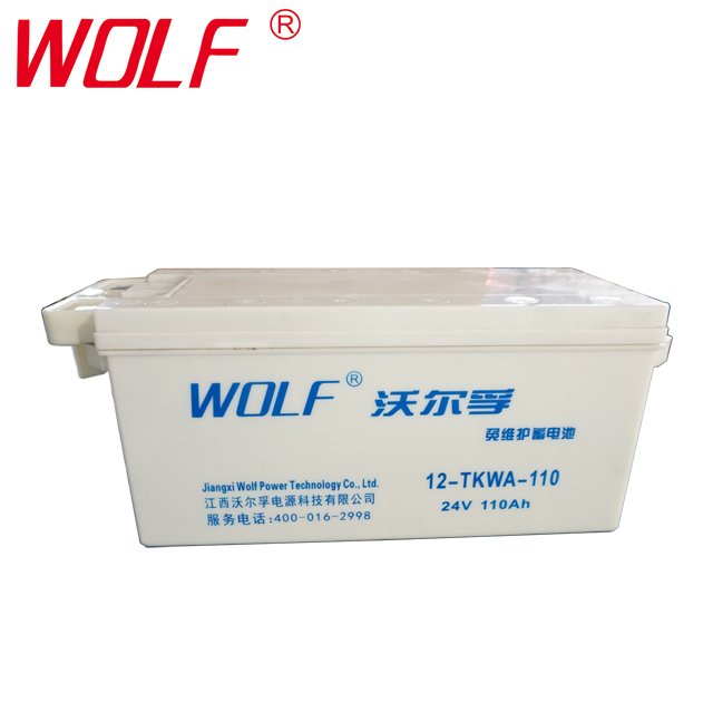 24V 110AH Dry Charged Lead Acid Armored Batteries Heavy Duty Truck Battery