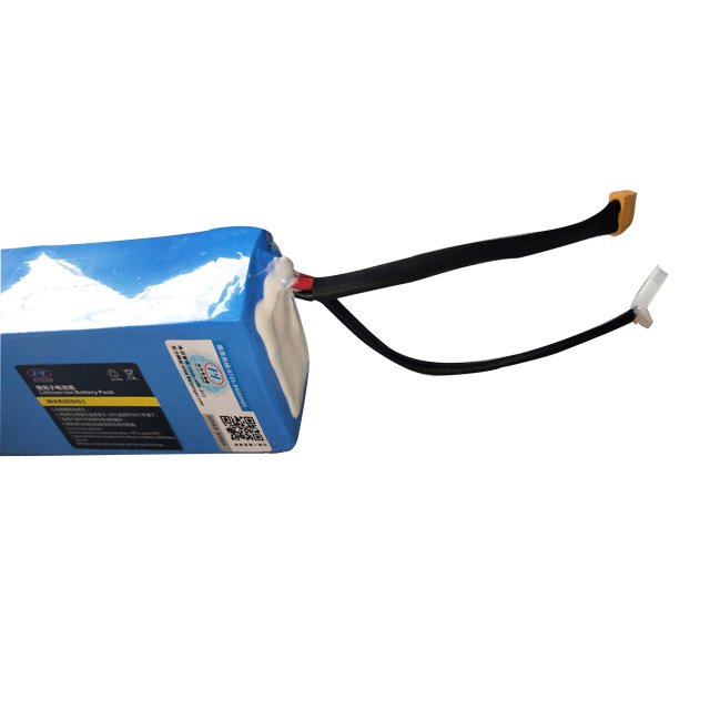lithium ion battery 36v 48v 52v 10Ah 20Ah silver fish ebike battery for electric bicycle lithium battery electric bicycle 48V