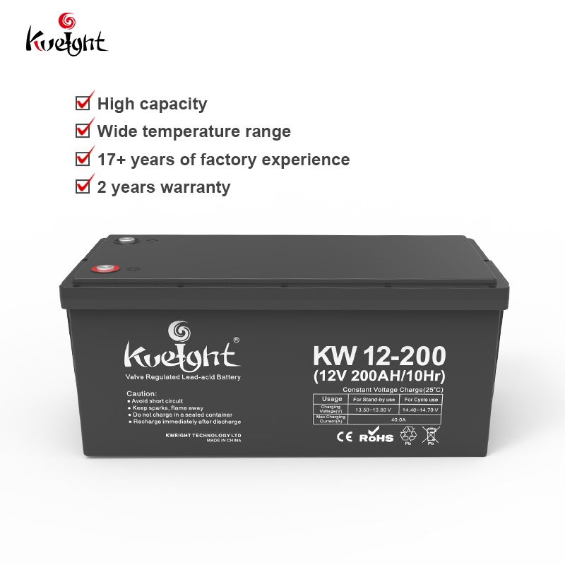 2024 Hot sale Renewable Energy Storage 12.8V 100Ah Lead-Acid Batteries for RV and Home Use in Europe
