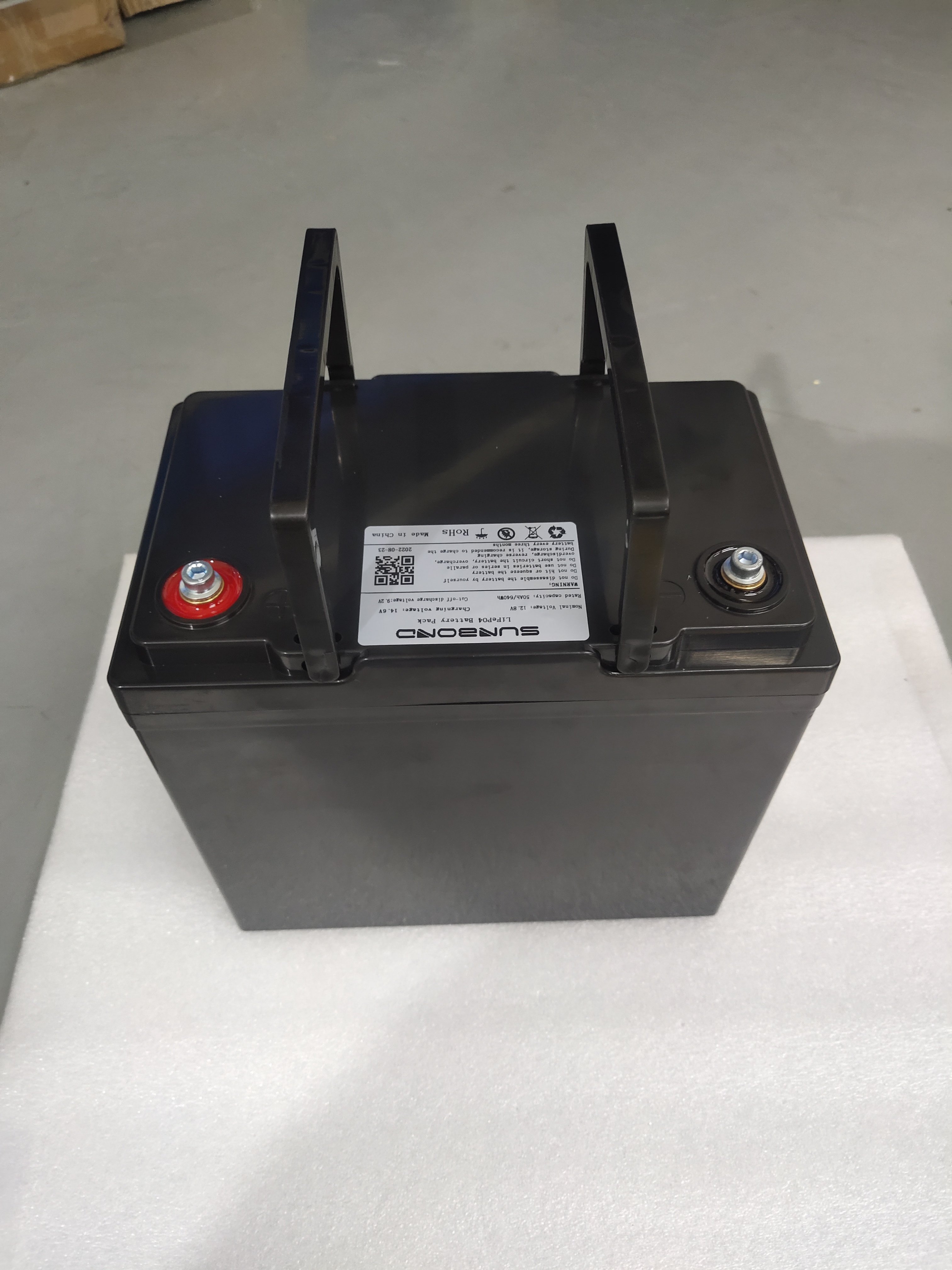 Electric Boat Yacht Marine Trolling Motor LiFePO4 Battery 12V 24V 36V 48V 30Ah 40Ah 50Ah 100Ah 200Ah Lithium Ion Battery