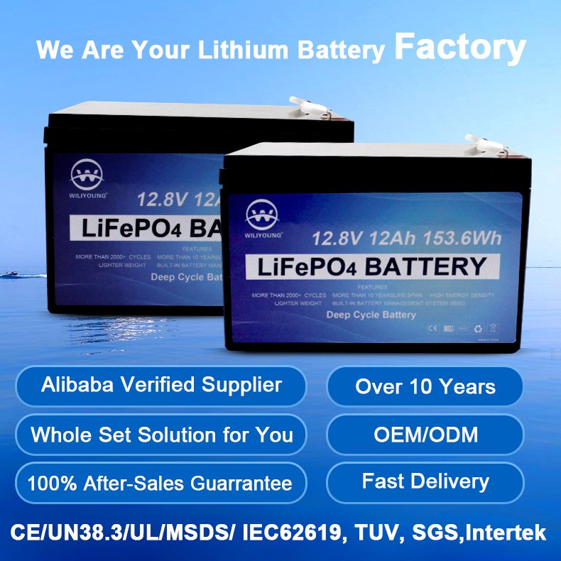 Factory Customized Deep Cycle Lithium 6ah 10ah 30ah 15ah Lifepo4 Battery 12v 12ah