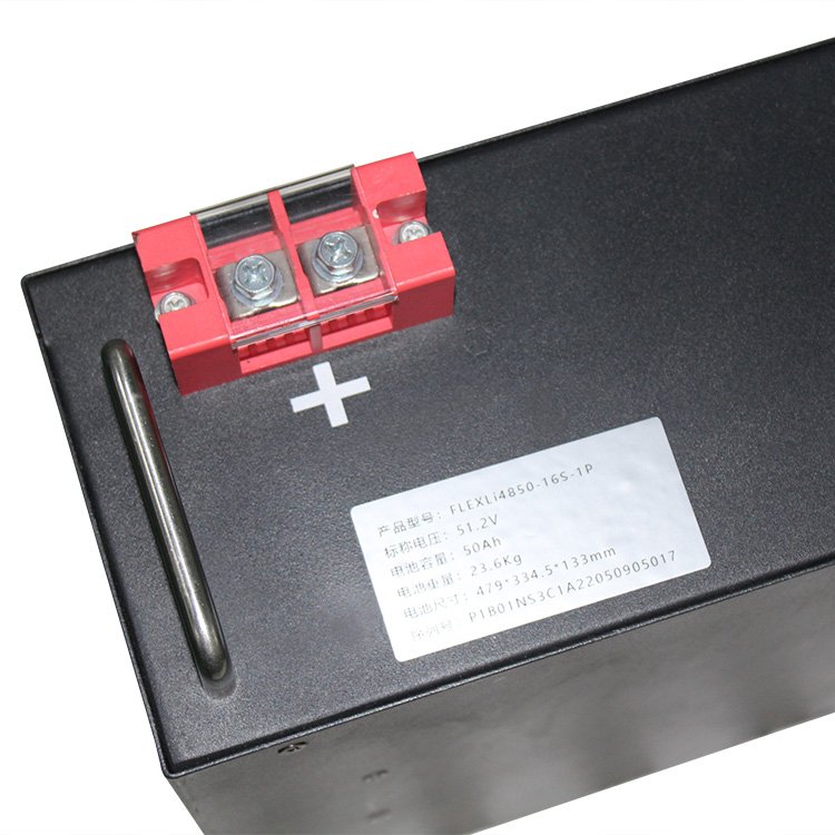 Rack Mount LiFePO4 48V 51.2V 100Ah 200Ah 48V 200Ah Lithium Ion Batterie 100Ah Lifepo4 Battery Module