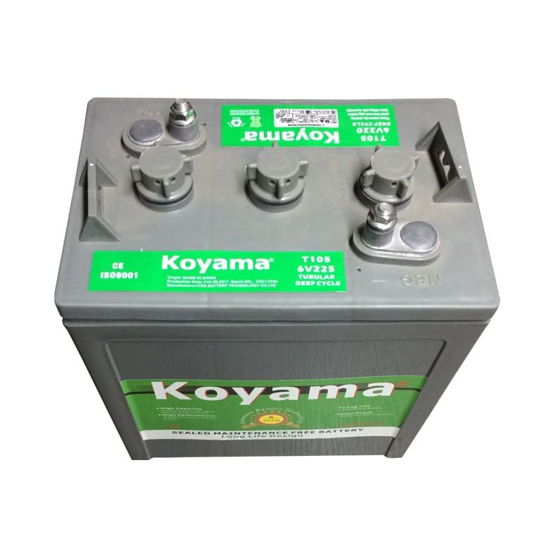 MOTIVE Deep Cycle Lead Acid Battery for Golf Cart & Utility Vehicle Flooded 6V 8V 12V 100AH 110AH 120AH UPS Application