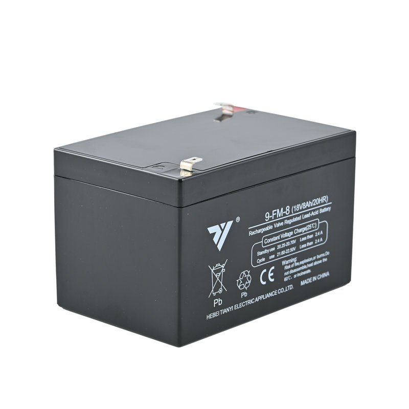 TIANYI kids Electric vehicle Toy car Electric rolling shutter door 18V 8AH 20HR Lead-Acid Battery Rechargeable battery