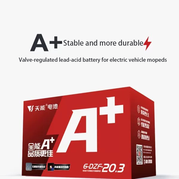 Wholesale Tianneng Battery 6-dzf-20 Automatic Lead-acid Battery Charger Lead Acid Batteries