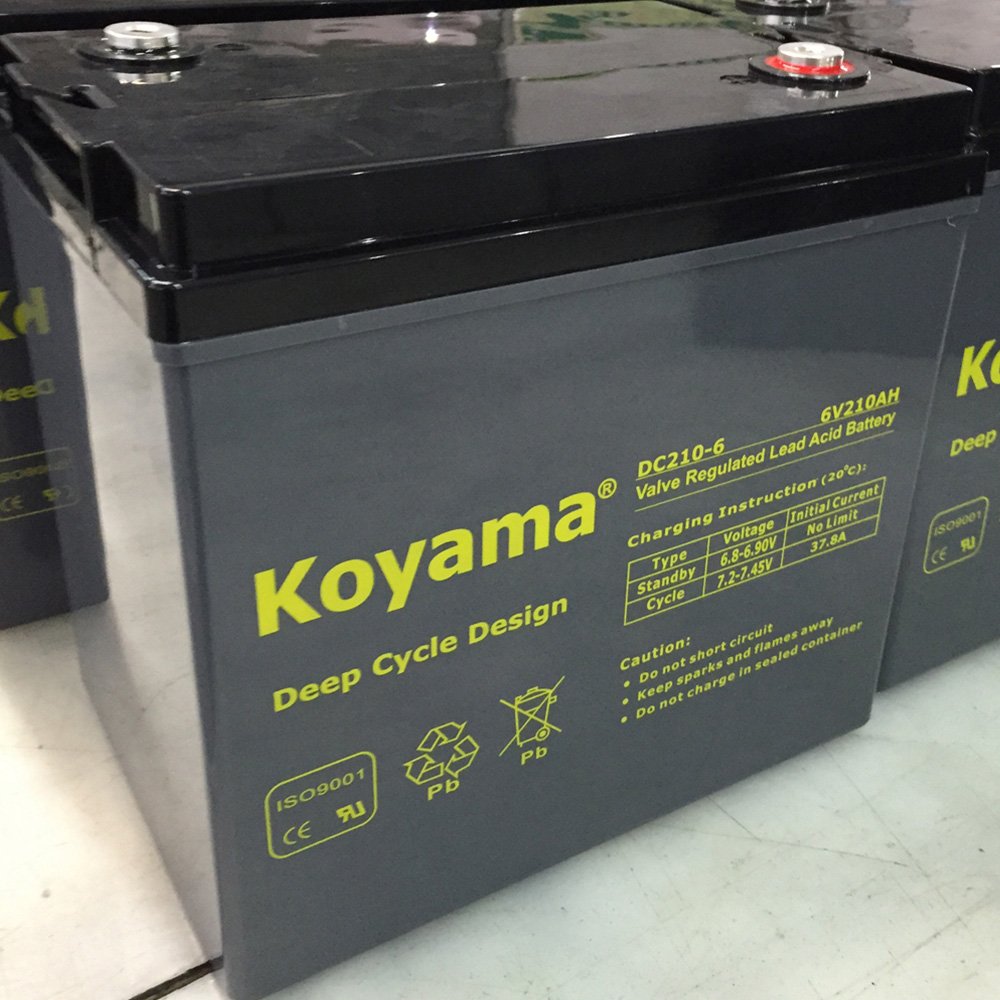 Long Life 6V 12V AGM VRLA Acid Battery Heavy Duty 100AH 110AH 200AH 210AH Sealed Lead Battery with High Cycling Capabilities