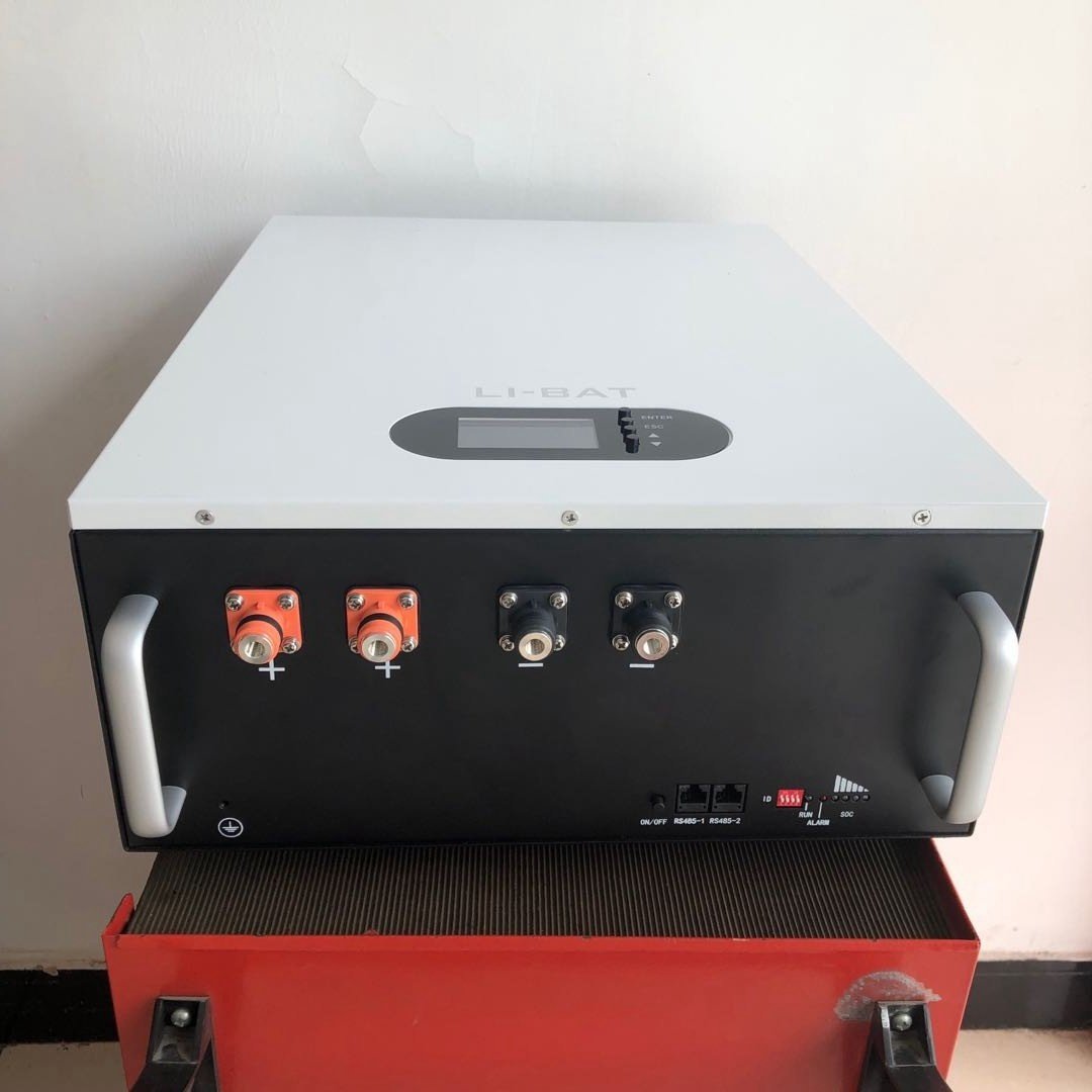 SOLASUN Lithium LifePO4 Battery 48V 51.2V 100Ah 200Ah 50Ah 5Kwh 10Kwh 2.5Kwh Power Wall with BMS Off Grid/Hybrid Solar System