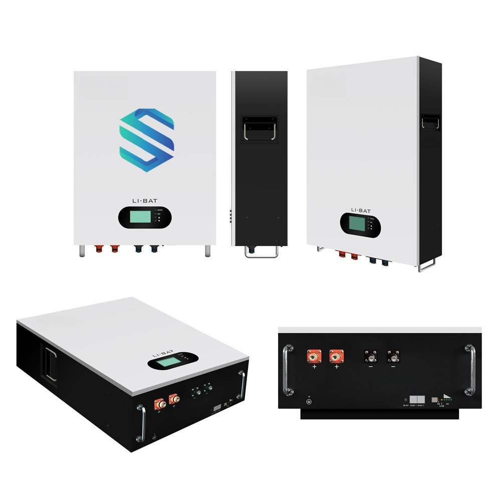 SOLASUN Lithium LifePO4 Battery 48V 51.2V 100Ah 200Ah 50Ah 5Kwh 10Kwh 2.5Kwh Power Wall with BMS Off Grid/Hybrid Solar System