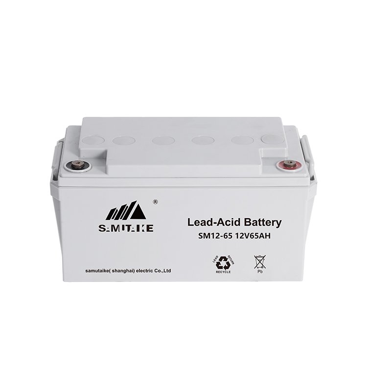 High Reliability and Stability SM12-65 Lead-Acid Battery For Emergency Power System, Alarm system