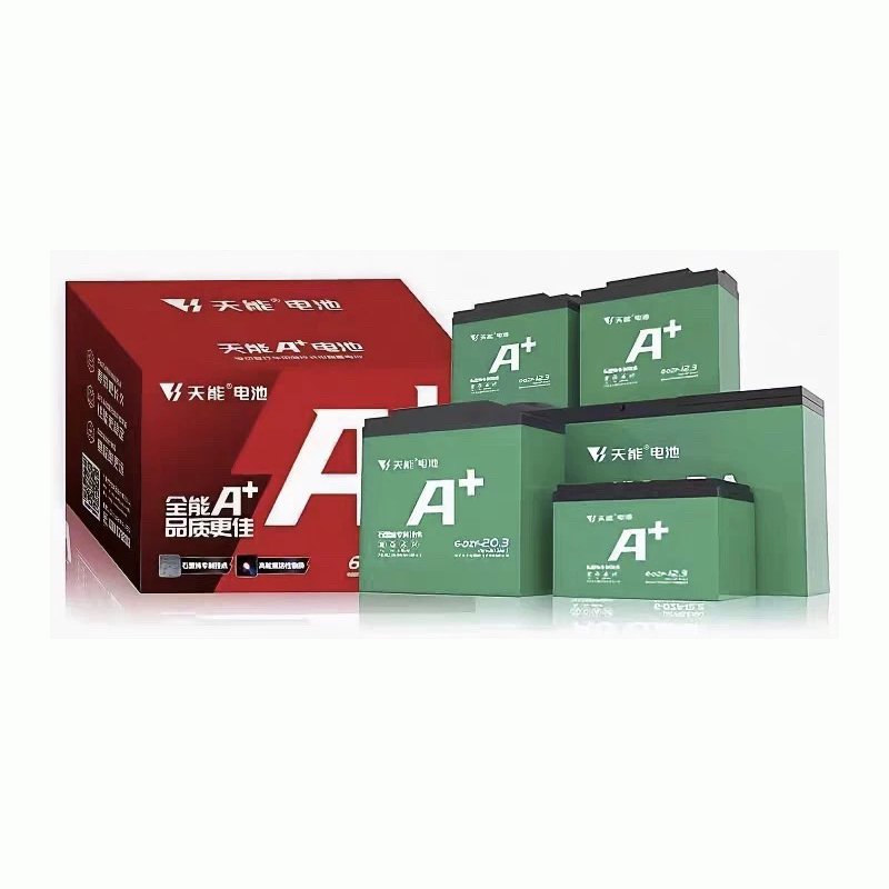 Tianneng Battery 6-DZF-20.3 12V20AH Lead Acid Battery Charger Lead-acid Replacement Batteries