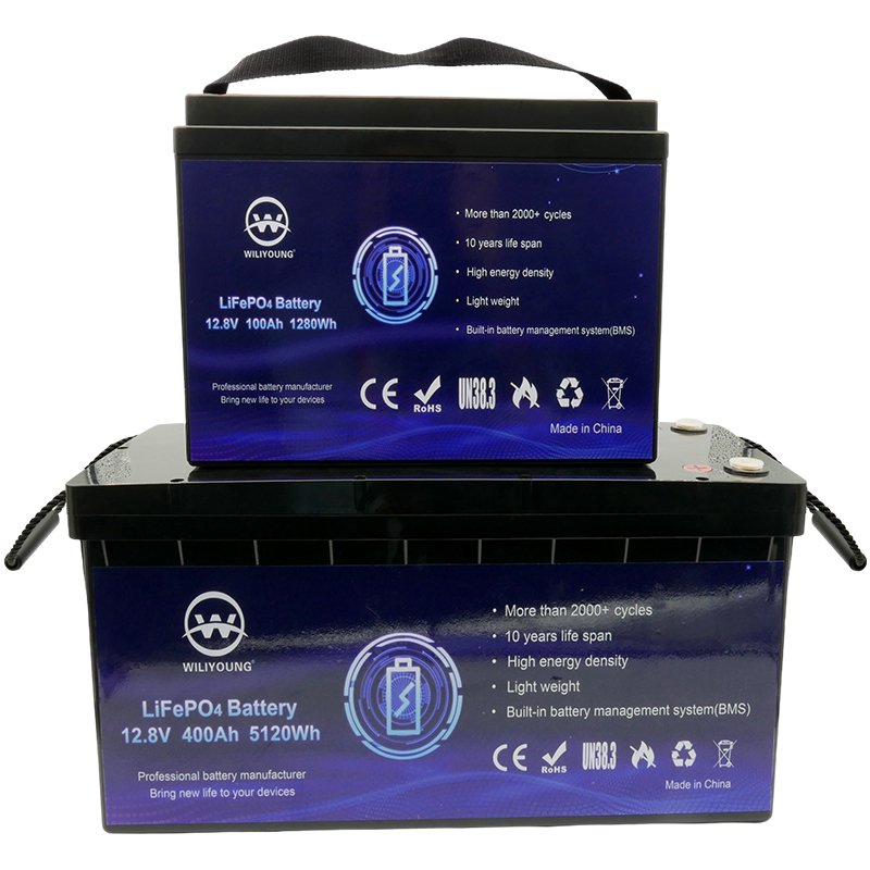 Energy Storage System LiFePO4 12V 24V LFP Li Ion Batteries 50ah 100ah 150ah 200ah 300ah 400ah Solar Lithium Battery Pack