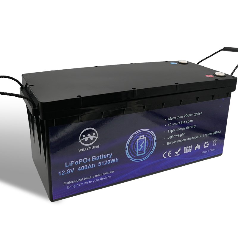 Energy Storage System LiFePO4 12V 24V LFP Li Ion Batteries 50ah 100ah 150ah 200ah 300ah 400ah Solar Lithium Battery Pack