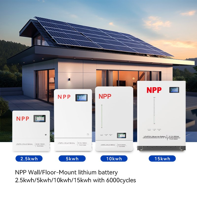 Household energy storage system battery 51.2V 100Ah Solar system Lithium Battery LiFePO4 48V OEM/ODM