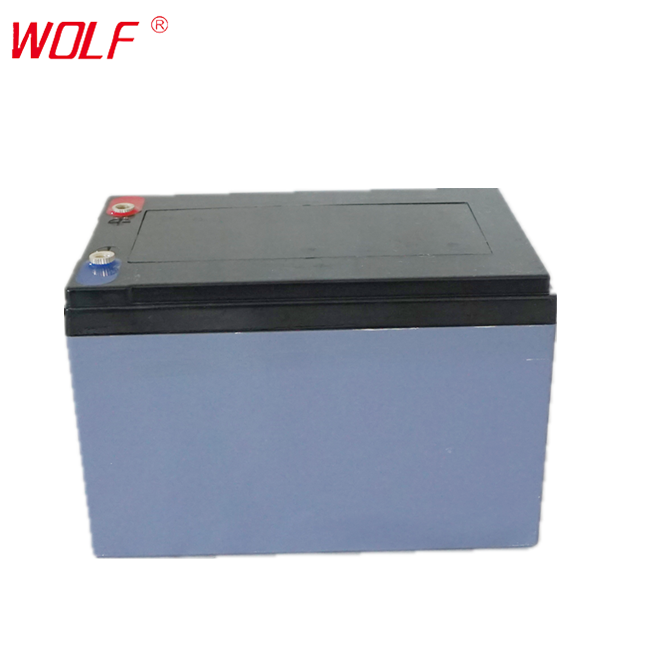 OEM 6-DZM-12 Lead Acid battery 12V 36V 12AH for electric bike