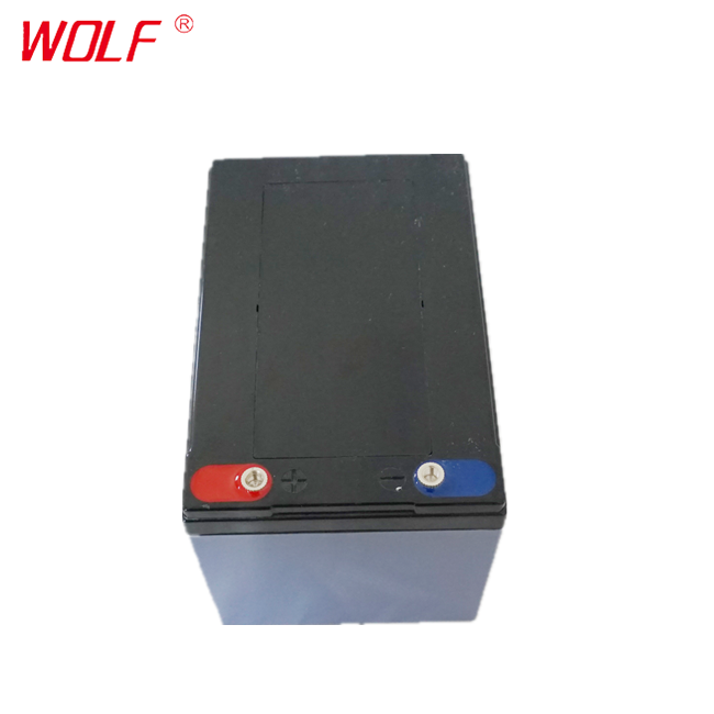 OEM 6-DZM-12 Lead Acid battery 12V 36V 12AH for electric bike