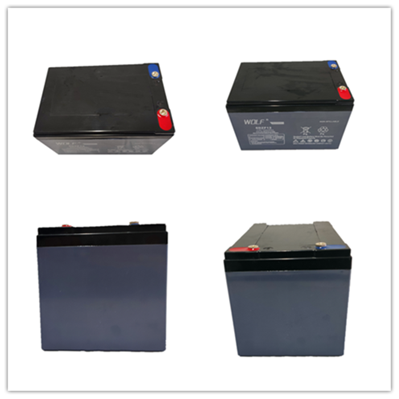 OEM 6-DZM-12 Lead Acid battery 12V 36V 12AH for electric bike