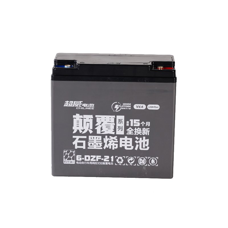 Hot Sale Electric Bicycle Battery 48v 21ah Electric Bicycle Lead Acid Battery Pack