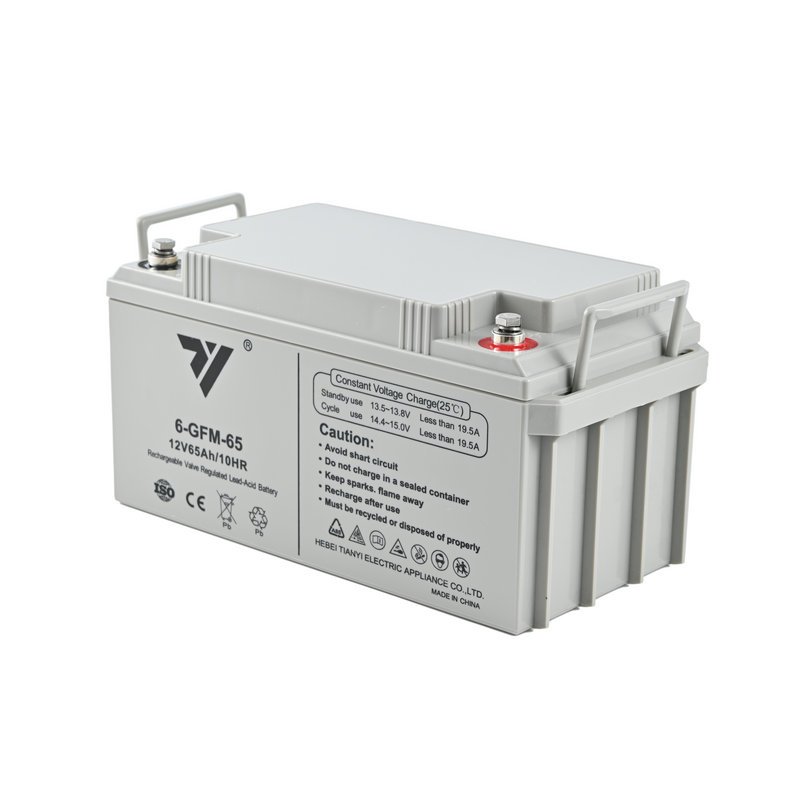TIANYI UPS EPS Emergency System Fire Fighting Solar Energy Solar Power 12V 65AH 20HR Lead-Acid Battery Rechargeable Battery
