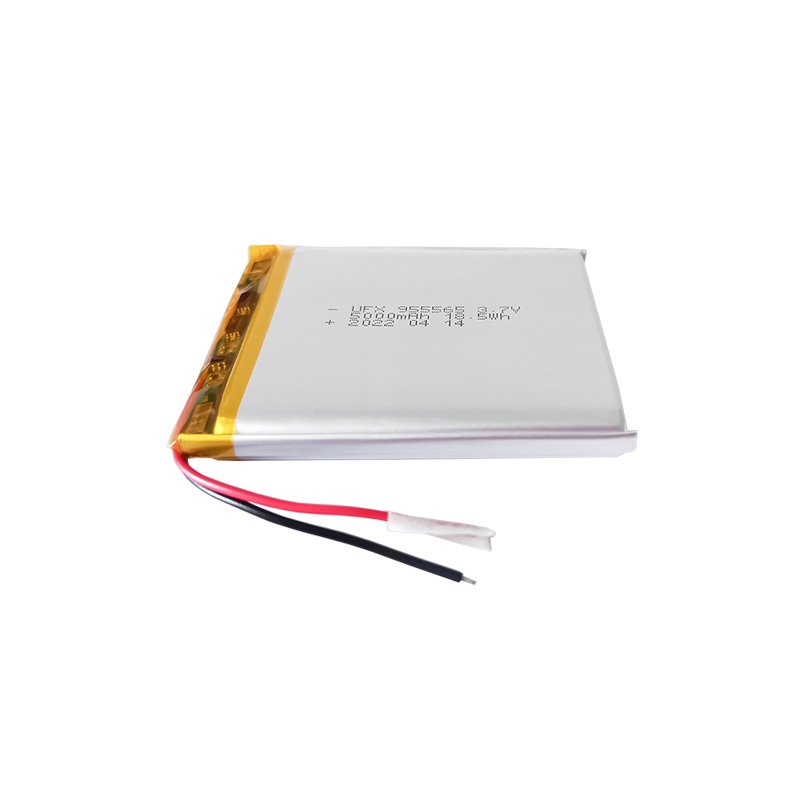 The Battery Factory Supports OEM And ODM Custom Rechargeable Portable Power Lithium-Ion Battery UFX 955565 5000mAh 3.7V