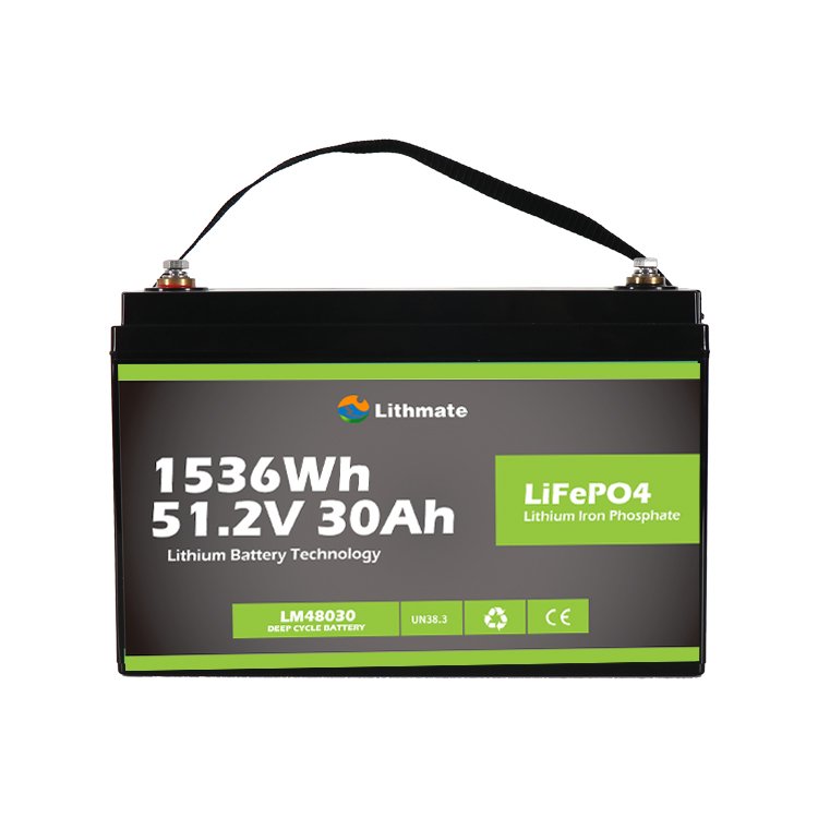 Hot selling lifepo4 51.2V 30Ah golf cart lithium ion battery 48v 30ah
