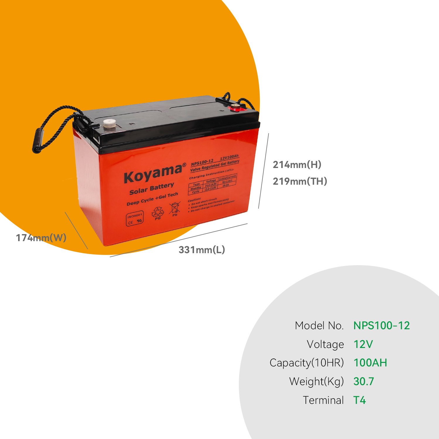 KOYAMA Deep Cycle Solar Gel battery 12V 100Ah Rechargeable Lead Acid Battery For Solar storage energy System photovoltaic power