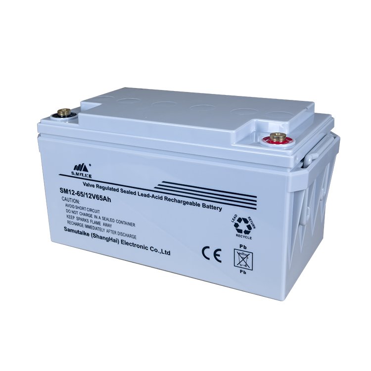 High Stability 12V 65A Lead-Acid Battery For Emergency Power System With Low Price