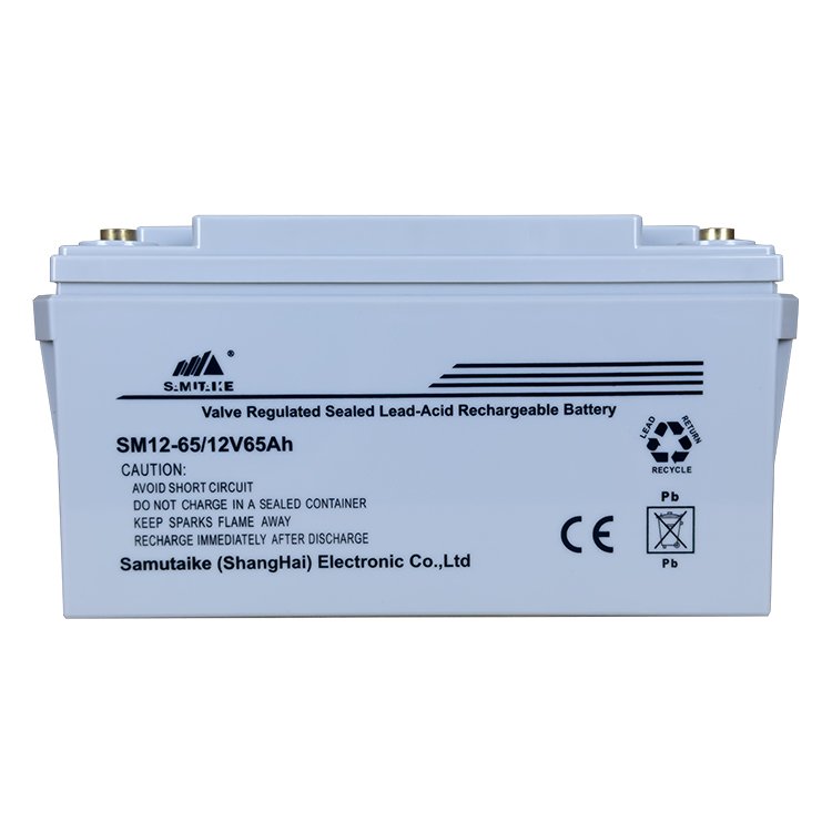 High Stability 12V 65A Lead-Acid Battery For Emergency Power System With Low Price