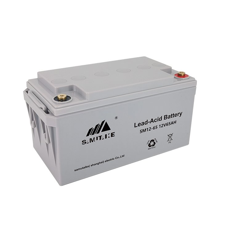 High Stability 12V 65A Lead-Acid Battery For Emergency Power System With Low Price
