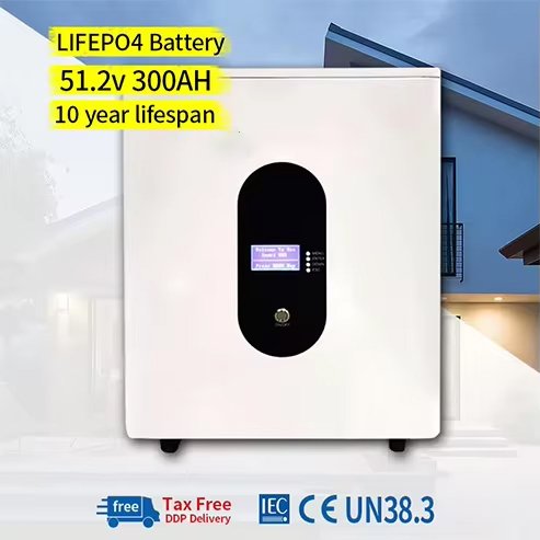 48V 51.2V 300AH Lithium Ion Lifepo4 Battery 12V 50Ah 100Ah 3Kwh 5kwh 10kwh 15Kwh 20KWH Solar Panel Batteries BMS Wall-Mounted