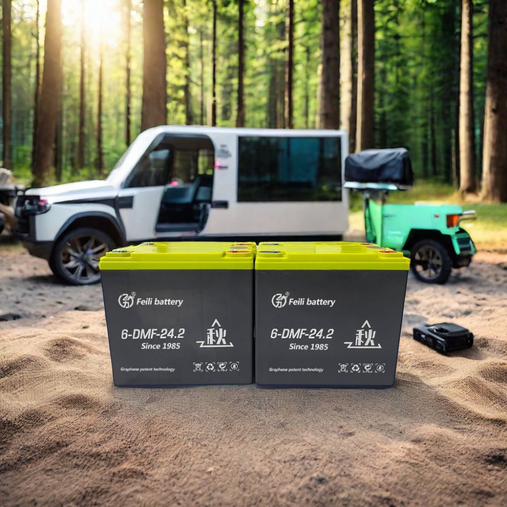 Feili Brand Electric Tricycles 12V 24ah/20ah Deep Cycle Lead Acid Sealed Battery Free Maintenance Graphene Lead Acid Battery