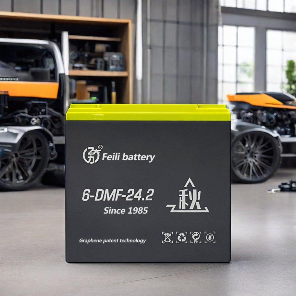 Feili Brand Electric Tricycles 12V 24ah/20ah Deep Cycle Lead Acid Sealed Battery Free Maintenance Graphene Lead Acid Battery