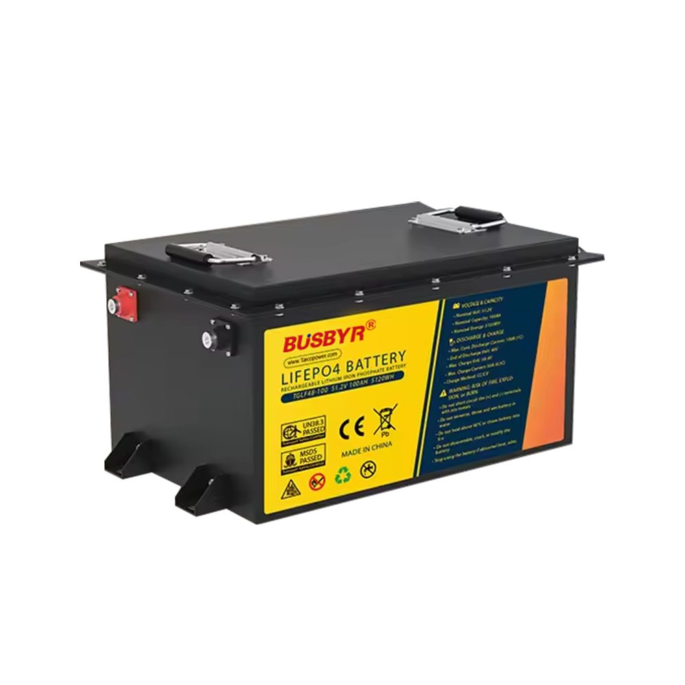Busbyr Electric four-wheeler 51.2v 100ah Lithium Battery golf cart Lithium Ion Battery