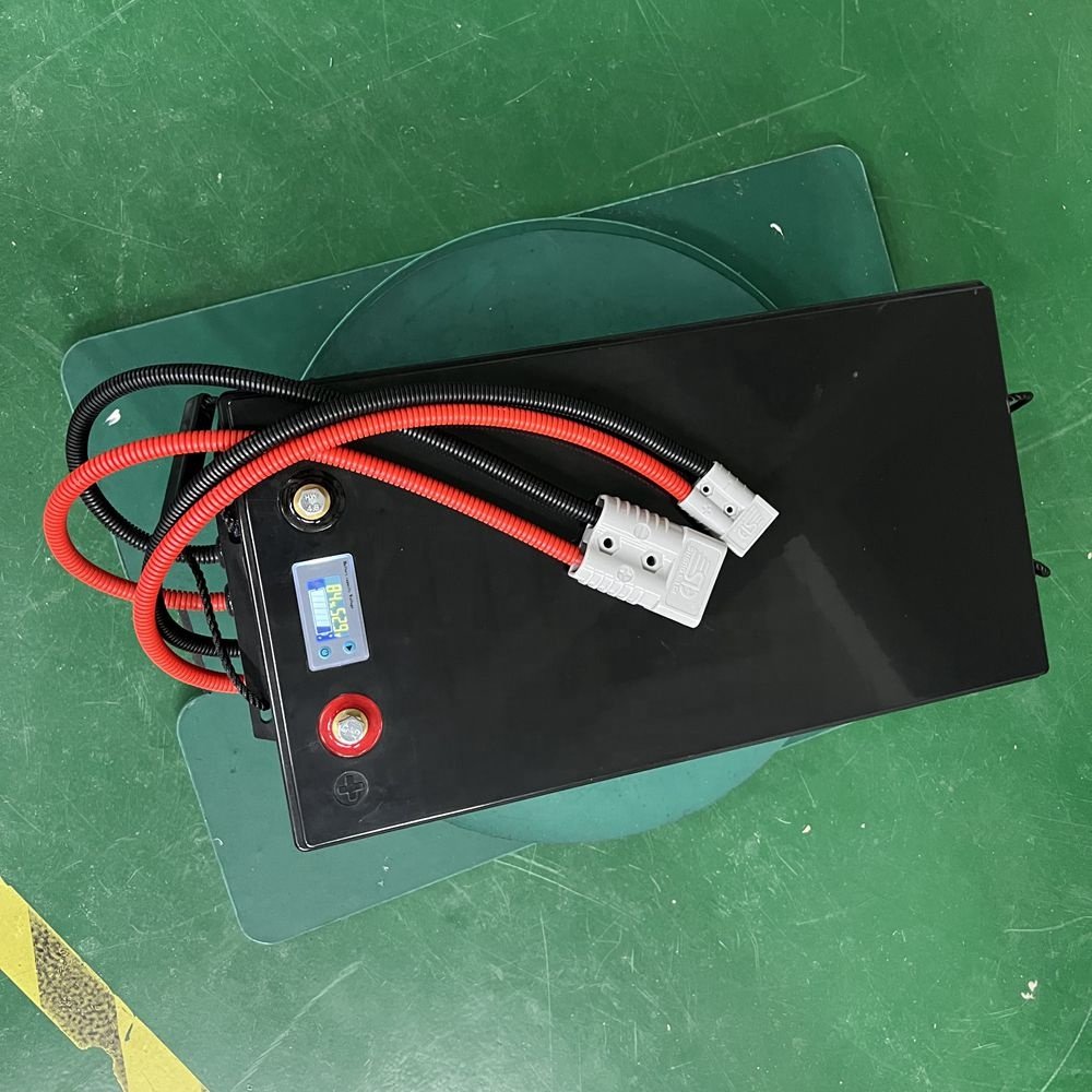 Large Capacity 24 Volt Lithium Ion Lifepo4 Electric Bicycle Battery Pack 100ah-500ah for Golf Carts Storage