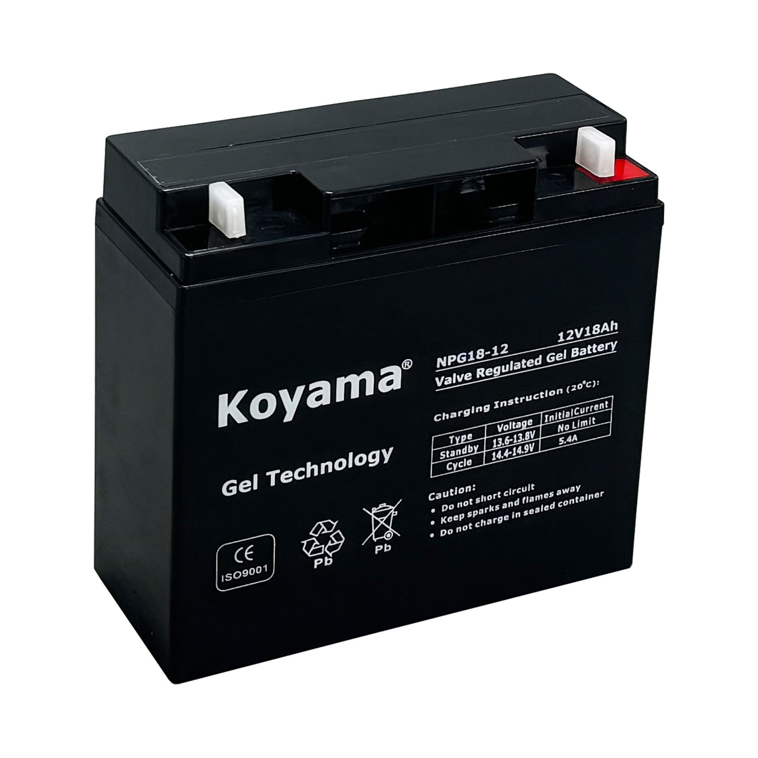 Koyama 12V18AH VRLA AGM Battery NP18-12 Lead Acid Battery for lighting emergency supply Medical equipment