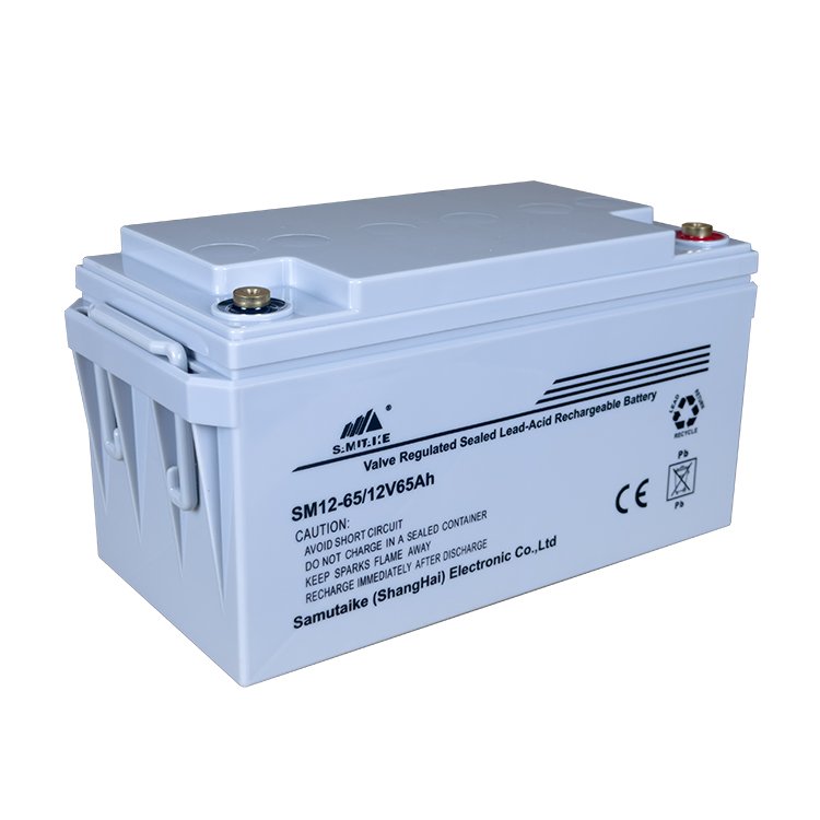 High Reliability and Stability SM12-65 Lead-Acid Battery For Emergency Power System