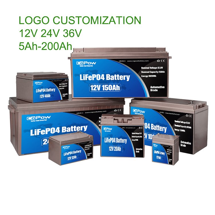 CoPow Solar Lithium Ion Battery 100ah 200ah 300ah 400ah Cheap Price 48v 24v 12v Lithium Battery For Solar Storage